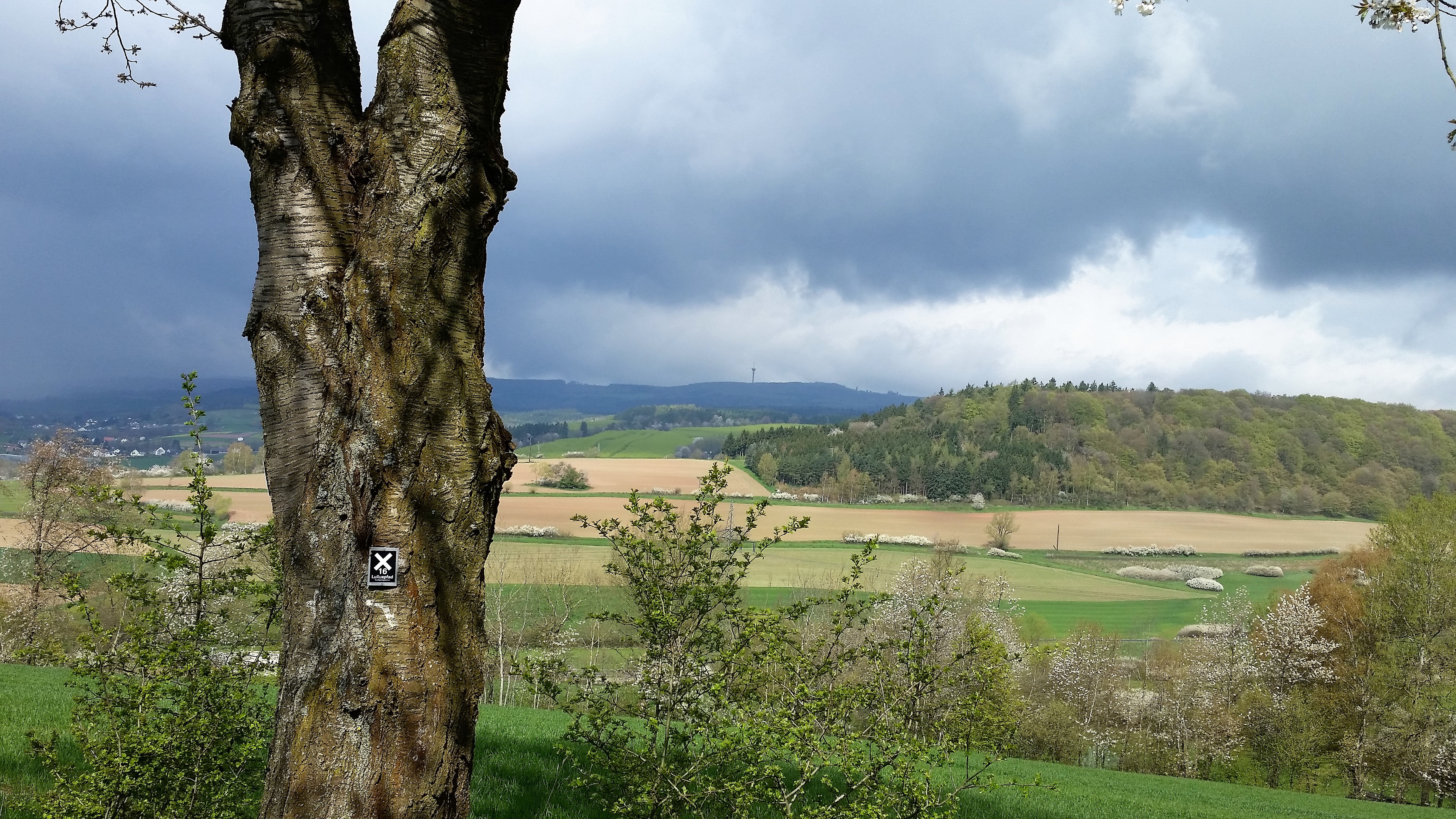 Q-Blick-auf-Kirchheim